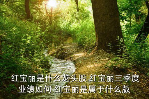  紅寶麗是什么龍頭股 紅寶麗三季度業(yè)績(jī)?nèi)绾?紅寶麗是屬于什么版