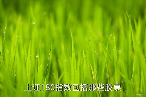 上證180指數(shù)包括那些股票