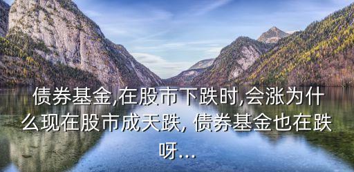  債券基金,在股市下跌時,會漲為什么現在股市成天跌, 債券基金也在跌呀...