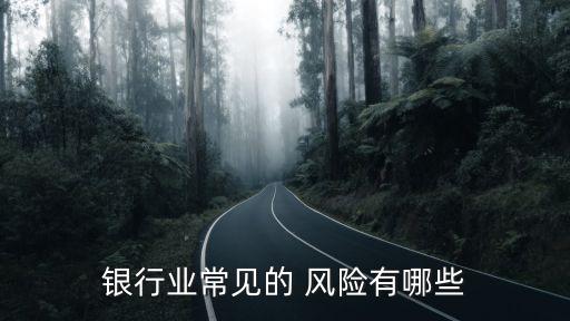 銀行業(yè)常見的 風(fēng)險(xiǎn)有哪些