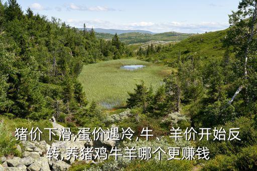 豬價(jià)下滑,蛋價(jià)遇冷,牛、羊價(jià)開始反轉(zhuǎn),養(yǎng)豬雞牛羊哪個(gè)更賺錢