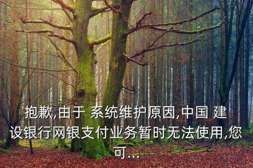 抱歉,由于 系統(tǒng)維護(hù)原因,中國 建設(shè)銀行網(wǎng)銀支付業(yè)務(wù)暫時(shí)無法使用,您可...