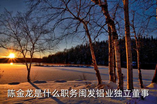 陳金龍是什么職務閩發(fā)鋁業(yè)獨立董事