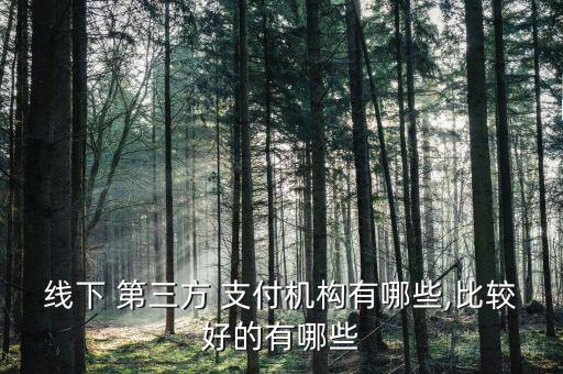 中國(guó)第三方支付公司排名,十大正規(guī)pos排名