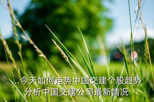 中國交通建設股份有限公司怎么樣