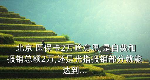  北京 醫(yī)?？?萬啥意思,是自費和報銷總額2萬,還是光指報銷部分就能達到...