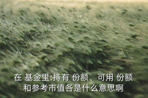 在 基金里:持有 份額、可用 份額和參考市值各是什么意思啊