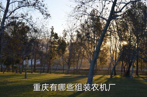  重慶有哪些組裝農(nóng)機(jī)廠(chǎng)