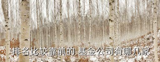  排名比較靠前的 基金公司有哪幾家