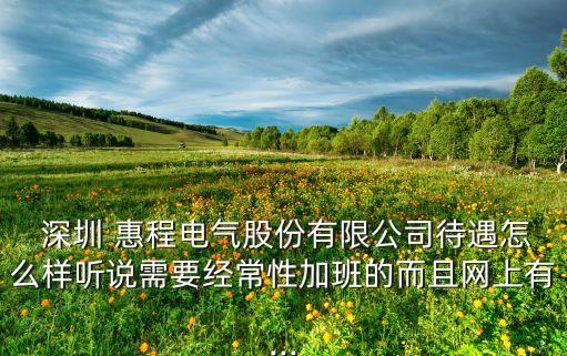 深圳 惠程電氣股份有限公司待遇怎么樣聽說需要經常性加班的而且網上有...