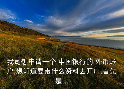 中國(guó)銀行開外幣證要什么材料