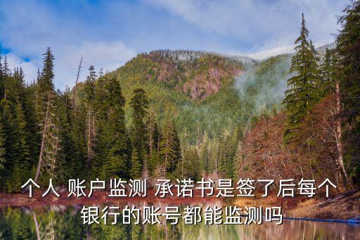 個(gè)人 賬戶監(jiān)測 承諾書是簽了后每個(gè) 銀行的賬號都能監(jiān)測嗎