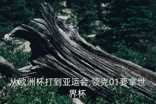 從歐洲杯打到亞運(yùn)會,領(lǐng)克01要拿世界杯