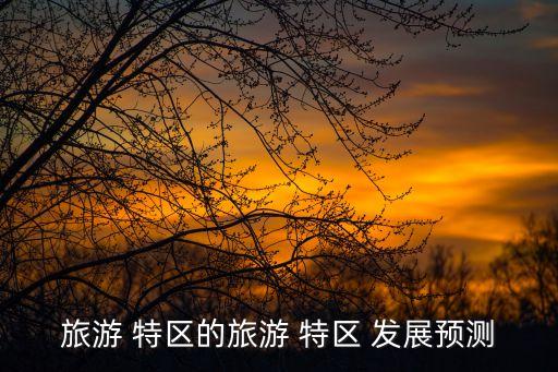 特區(qū)建設發(fā)展集團有限公司前景,深圳市特區(qū)鐵工建設集團有限公司