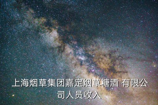 上海棗開心商貿有限公司待遇,武漢棗王街商貿有限公司