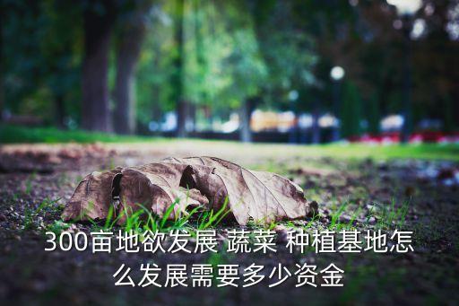 海南蔬菜種植投資,蔬菜種植工廠投資多少錢(qián)