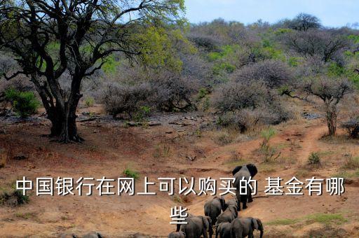 中國(guó)銀行在網(wǎng)上可以購(gòu)買(mǎi)的 基金有哪些