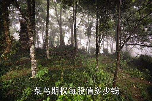  菜鳥(niǎo)期權(quán)每股值多少錢(qián)