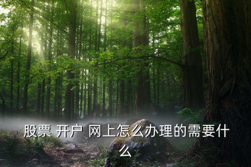  股票 開(kāi)戶 網(wǎng)上怎么辦理的需要什么