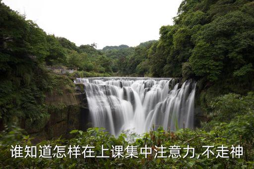 誰(shuí)知道怎樣在上課集中注意力,不走神