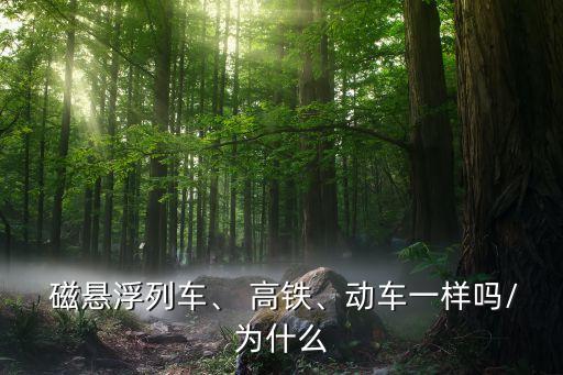  磁懸浮列車、 高鐵、動車一樣嗎/為什么