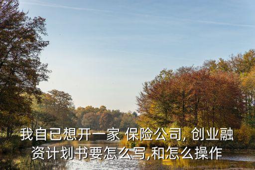 我自已想開(kāi)一家 保險(xiǎn)公司, 創(chuàng)業(yè)融資計(jì)劃書(shū)要怎么寫(xiě),和怎么操作