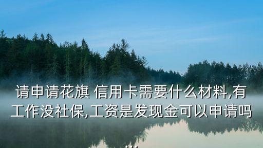 請(qǐng)申請(qǐng)花旗 信用卡需要什么材料,有工作沒社保,工資是發(fā)現(xiàn)金可以申請(qǐng)嗎...
