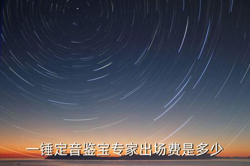 一錘定音鑒寶專家出場(chǎng)費(fèi)是多少
