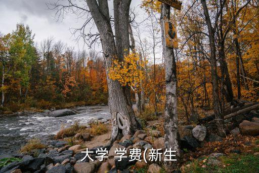 大學(xué) 學(xué)費(新生