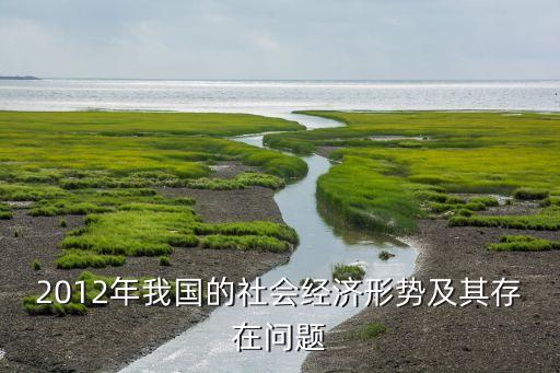 2012年我國的社會(huì)經(jīng)濟(jì)形勢及其存在問題