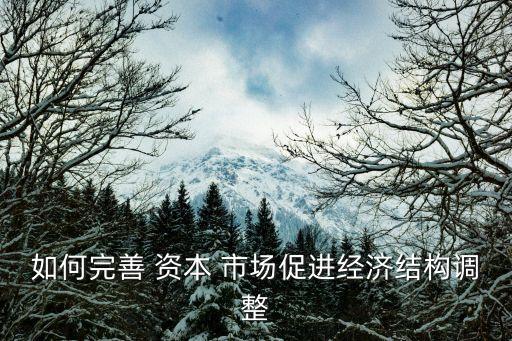 如何完善 資本 市場促進經(jīng)濟結構調(diào)整