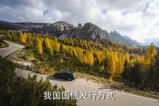 我國(guó)國(guó)債發(fā)行方式