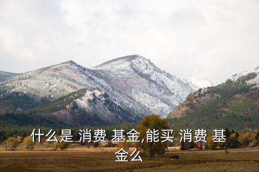 什么是 消費 基金,能買 消費 基金么