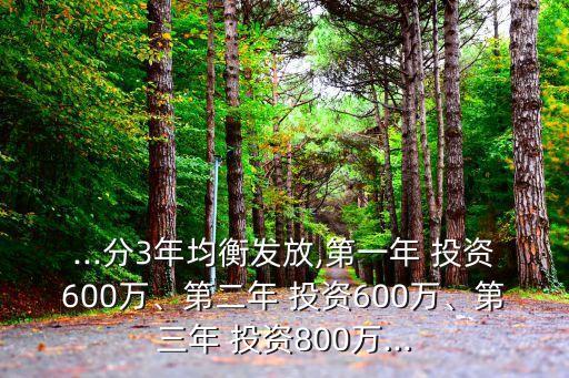 ...分3年均衡發(fā)放,第一年 投資600萬、第二年 投資600萬、第三年 投資800萬...