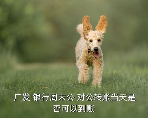  廣發(fā) 銀行周末公 對公轉賬當天是否可以到賬