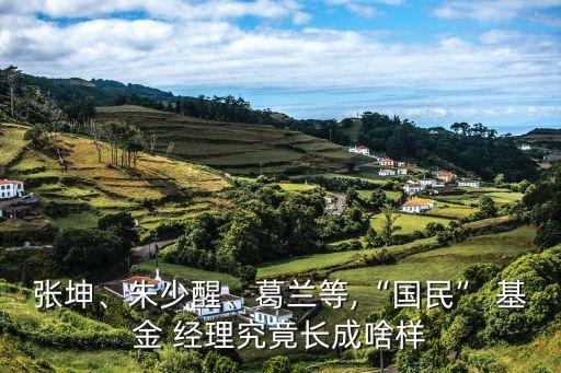 張坤、朱少醒、葛蘭等,“國民” 基金 經(jīng)理究竟長成啥樣