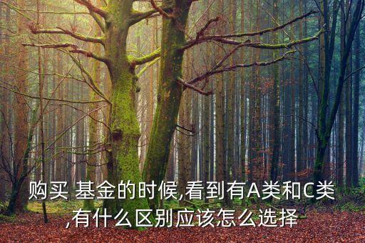 購買 基金的時(shí)候,看到有A類和C類,有什么區(qū)別應(yīng)該怎么選擇