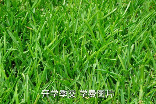 銀行繳學(xué)費熱潮,手機銀行繳學(xué)費流程