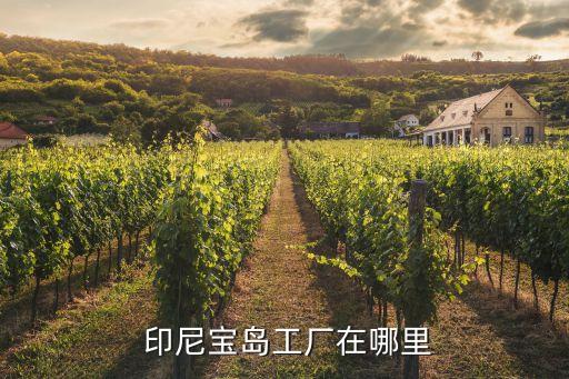中國61印尼經(jīng)貿合作區(qū),印尼與中國經(jīng)貿合作的重點有哪些