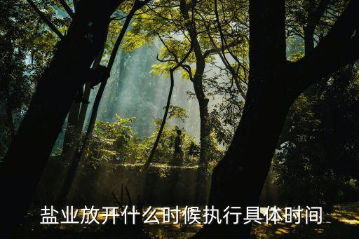  鹽業(yè)放開什么時(shí)候執(zhí)行具體時(shí)間