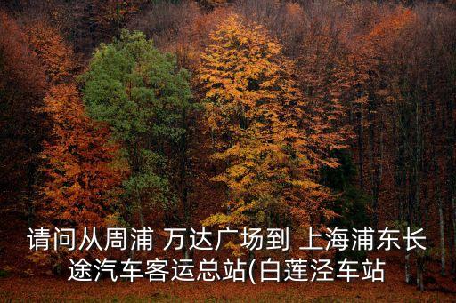 請問從周浦 萬達(dá)廣場到 上海浦東長途汽車客運總站(白蓮涇車站