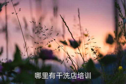 哪里有干洗店培訓