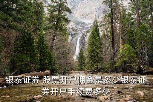 銀泰證券 股票開(kāi)戶傭金是多少銀泰證券開(kāi)戶手續(xù)費(fèi)多少