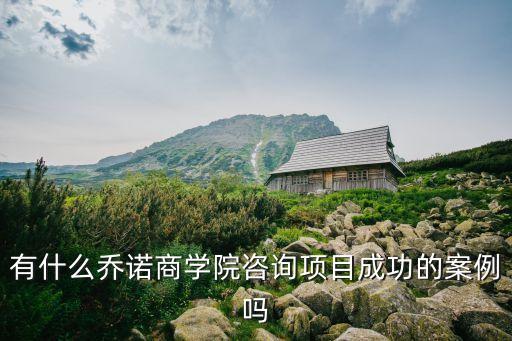 有什么喬諾商學(xué)院咨詢項(xiàng)目成功的案例嗎
