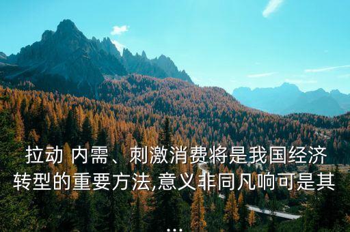  拉動 內(nèi)需、刺激消費將是我國經(jīng)濟轉(zhuǎn)型的重要方法,意義非同凡響可是其...