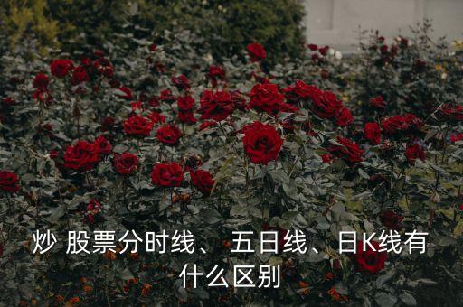 炒 股票分時(shí)線、 五日線、日K線有什么區(qū)別