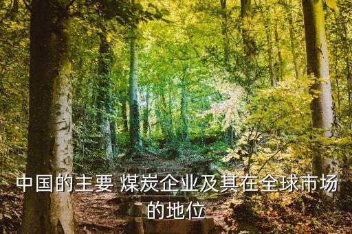 中國(guó)的主要 煤炭企業(yè)及其在全球市場(chǎng)的地位