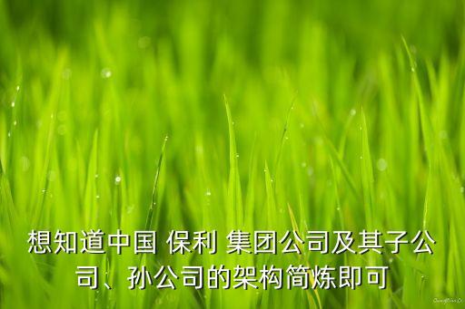 想知道中國(guó) 保利 集團(tuán)公司及其子公司、孫公司的架構(gòu)簡(jiǎn)煉即可