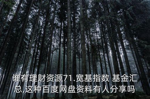 誰(shuí)有理財(cái)資源71.寬基指數(shù) 基金匯總,這種百度網(wǎng)盤資料有人分享嗎