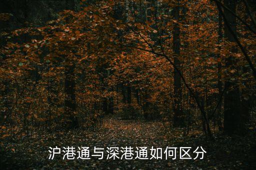 滬港股票市場交易互聯(lián)互通機(jī)制